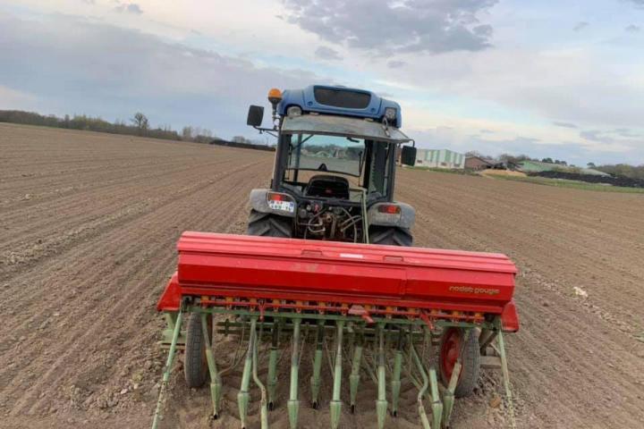 Nectar de cassis naturel Sermoyer