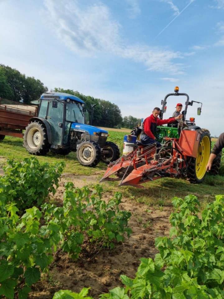 Production et vente de confitures de cassis  Sermoyer