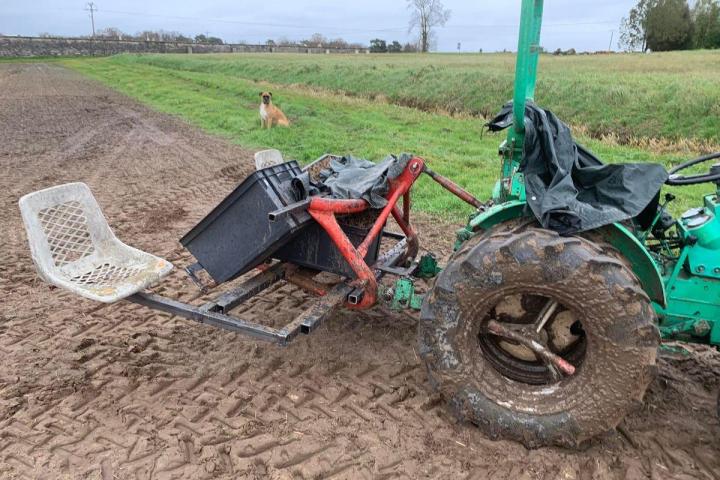 Production et vente de poivres de bourgeon de cassis Sermoyer