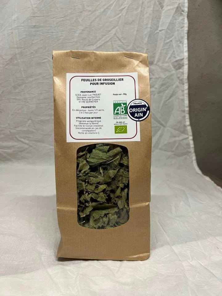 Production et vente de nectar de cassis Sermoyer