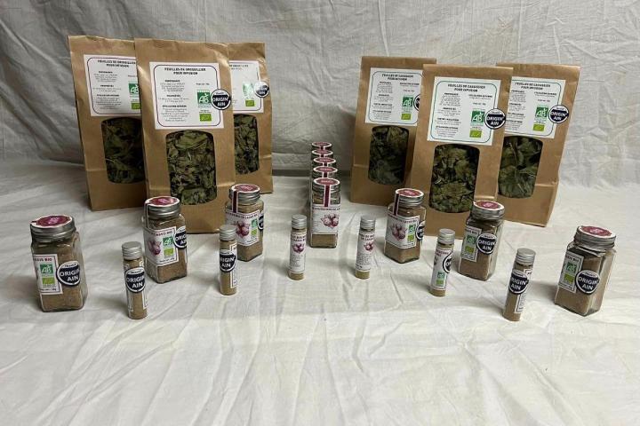 Production et vente de poivres de bourgeon de cassis Sermoyer