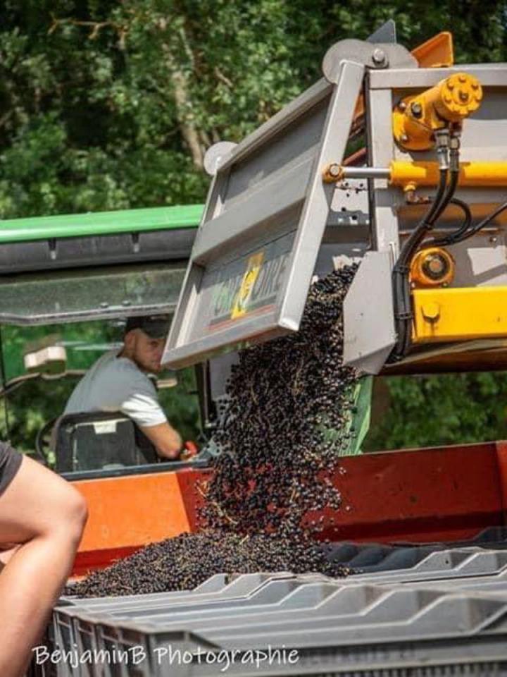 Production et vente de confitures Sermoyer