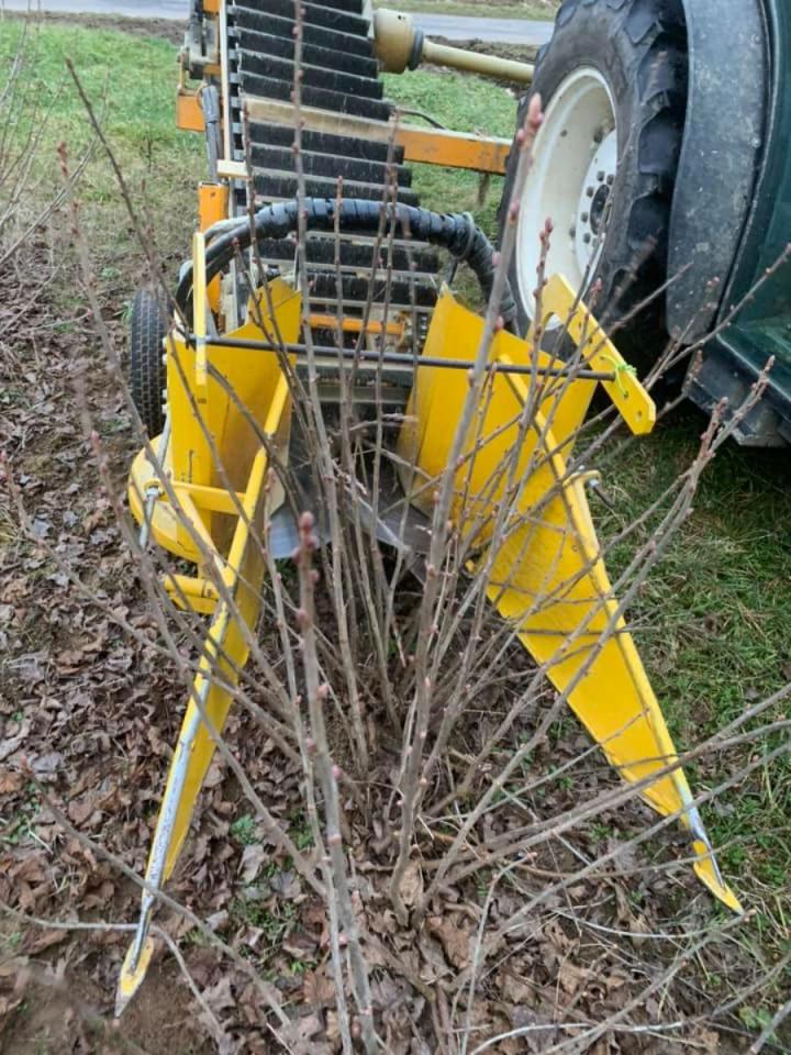 Production et vente de nectar de cassis Sermoyer