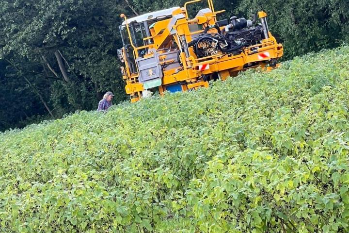 Production et vente de nectar de cassis Sermoyer