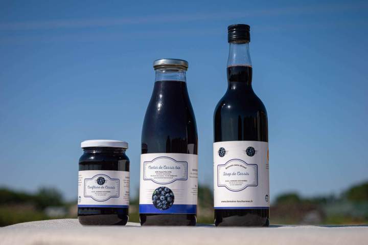 Producteur de cassis Sermoyer