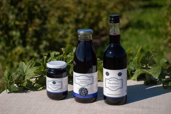Producteur de cassis Sermoyer