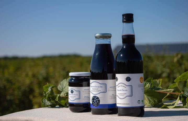 Production et vente de poivres de bourgeon de cassis à Sermoyer