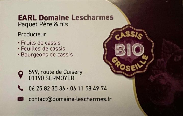 Production et vente de nectar de cassis à Sermoyer